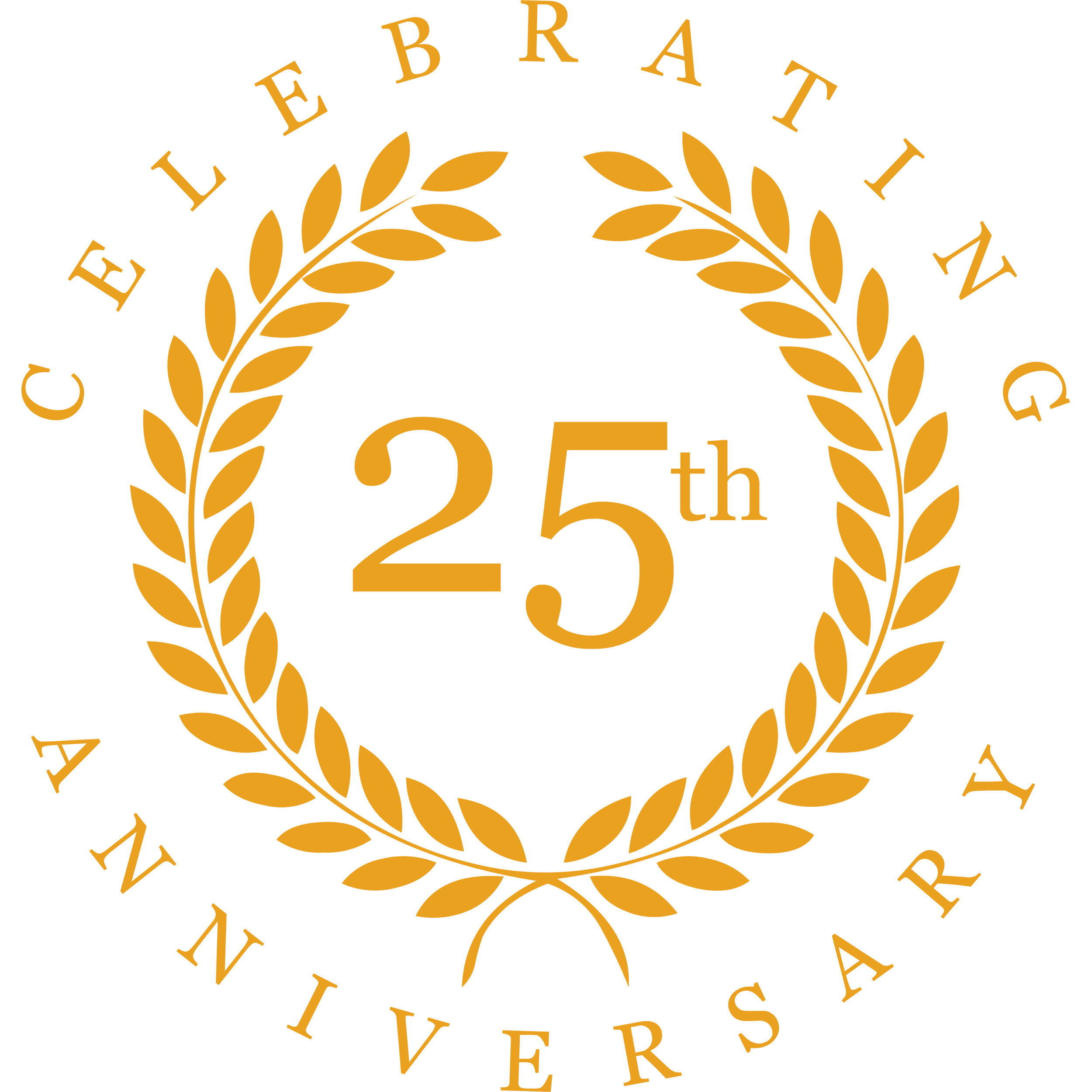 25th Anniversary Transparent Picture