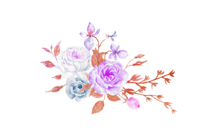 Aesthetic Flower PNG