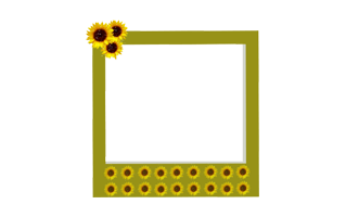 Aesthetic Frame PNG