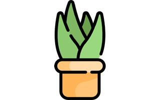 Aloe Vera Sticker PNG