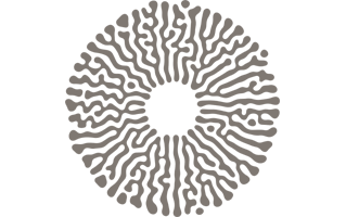 Amaala Logo PNG