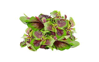 Amaranth PNG