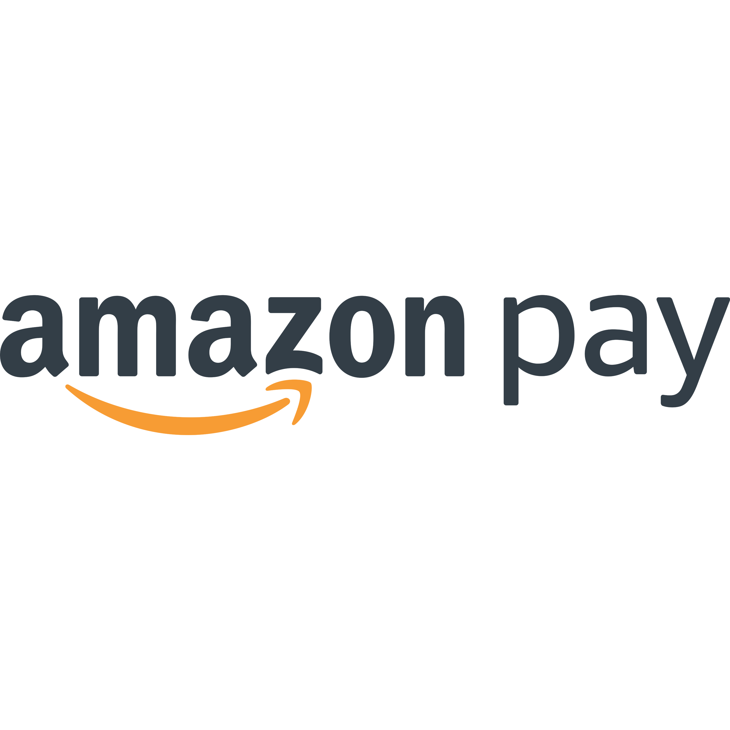 Amazon Pay Logo Transparent Image