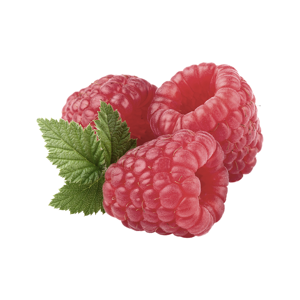 American Red Raspberry Transparent Picture