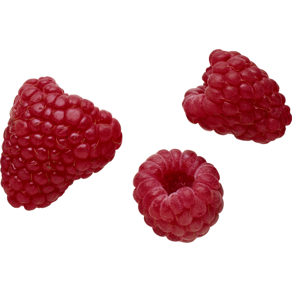American Red Raspberry  Transparent Clipart