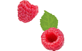 American Red Raspberry PNG