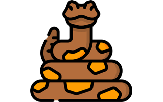 Anaconda Sticker PNG