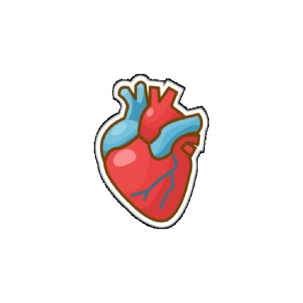 Anatomy Free Sticker Transparent Clipart