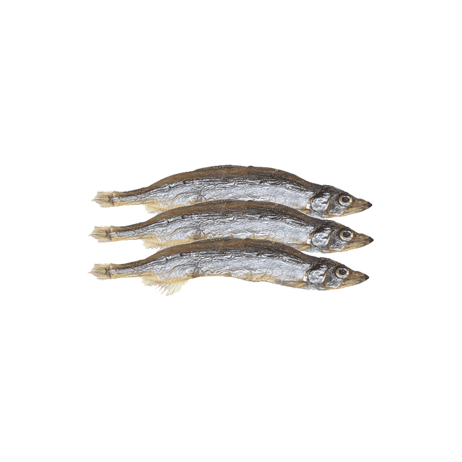 Anchovies Transparent Gallery