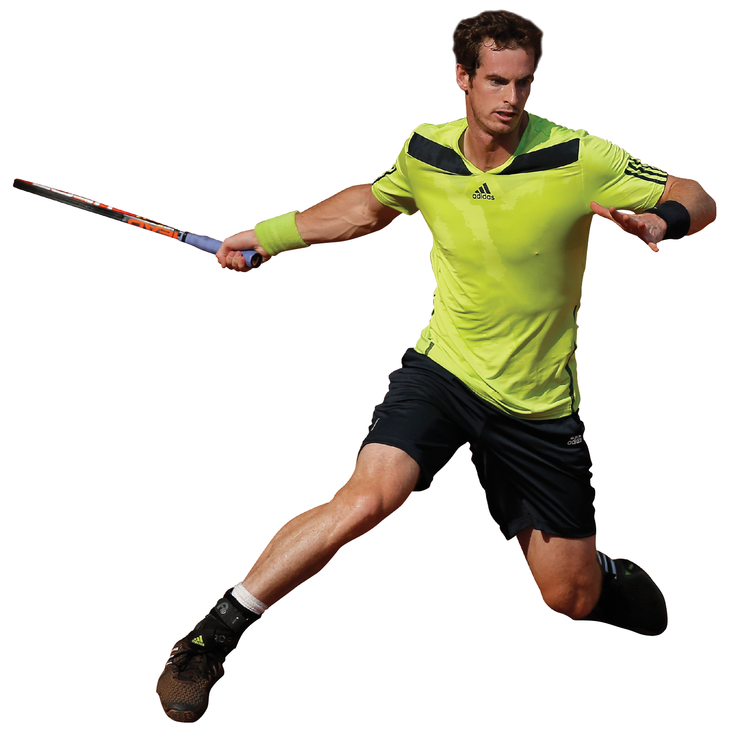 Andy Murray Transparent Image