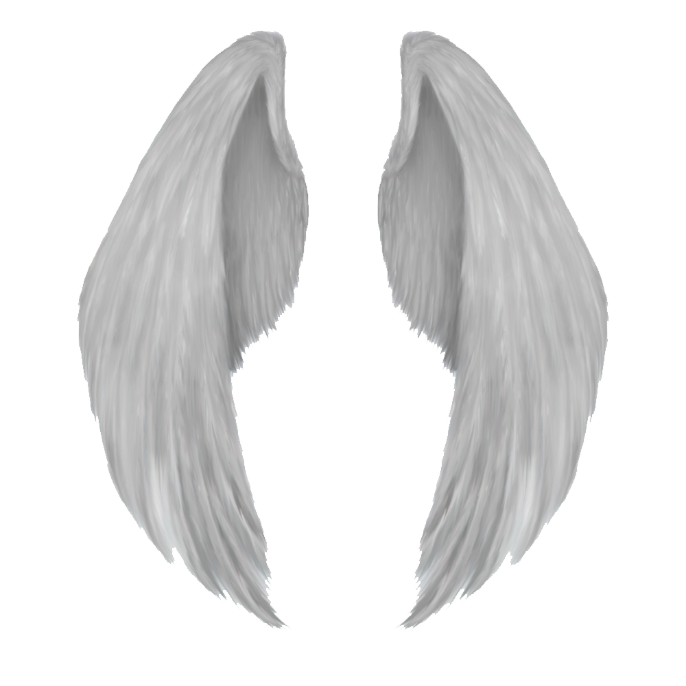 Angel Wing Transparent Image