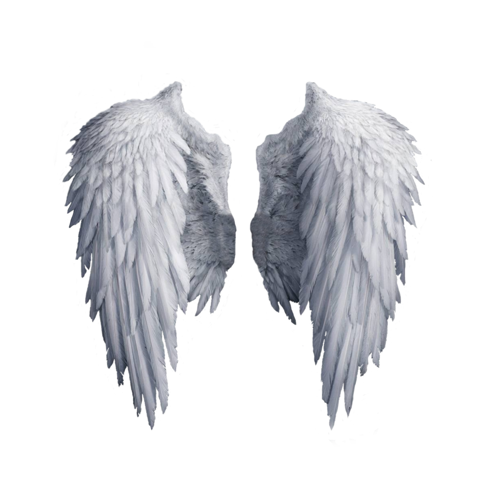 Angel Wing Transparent Photo