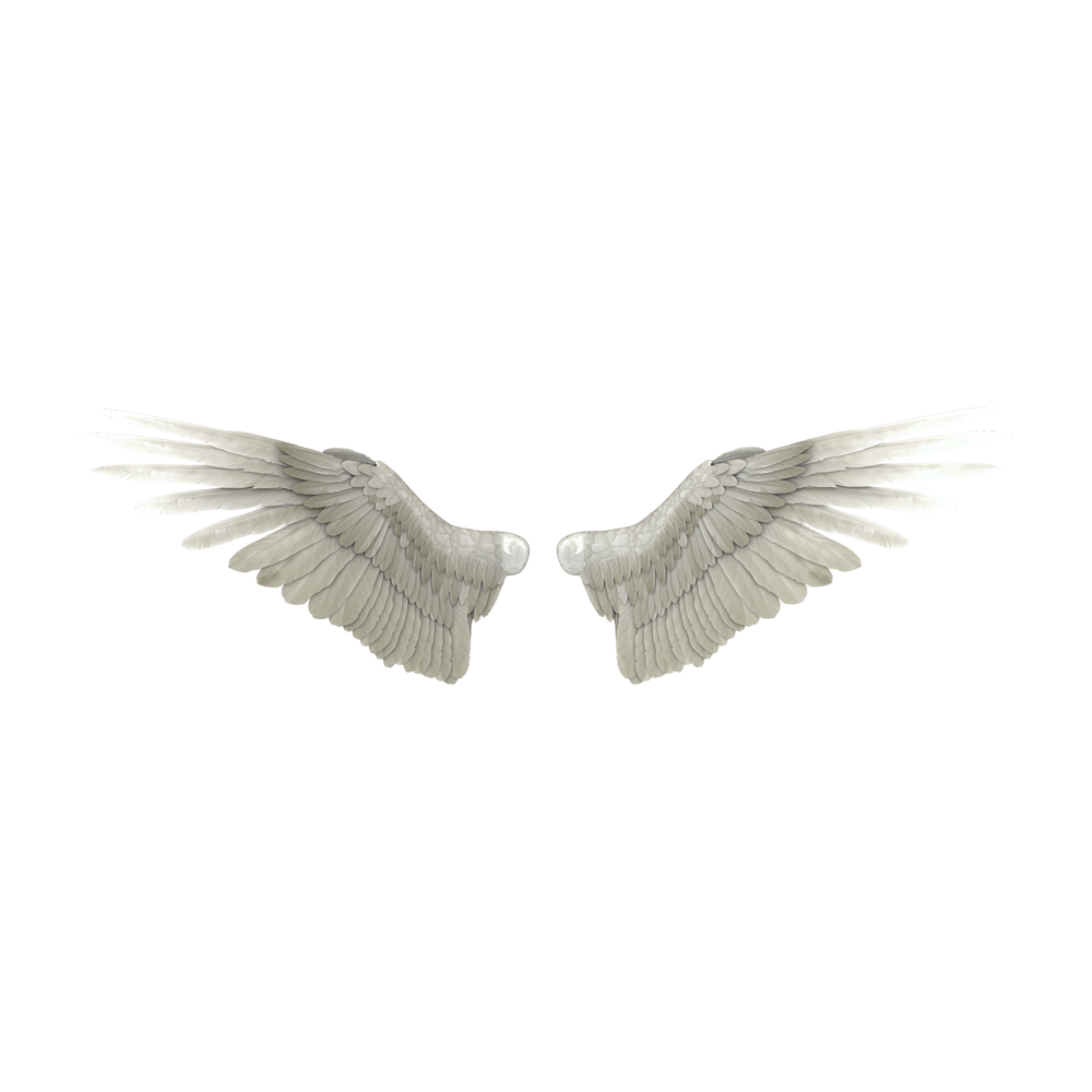 Angel Wing Transparent Picture