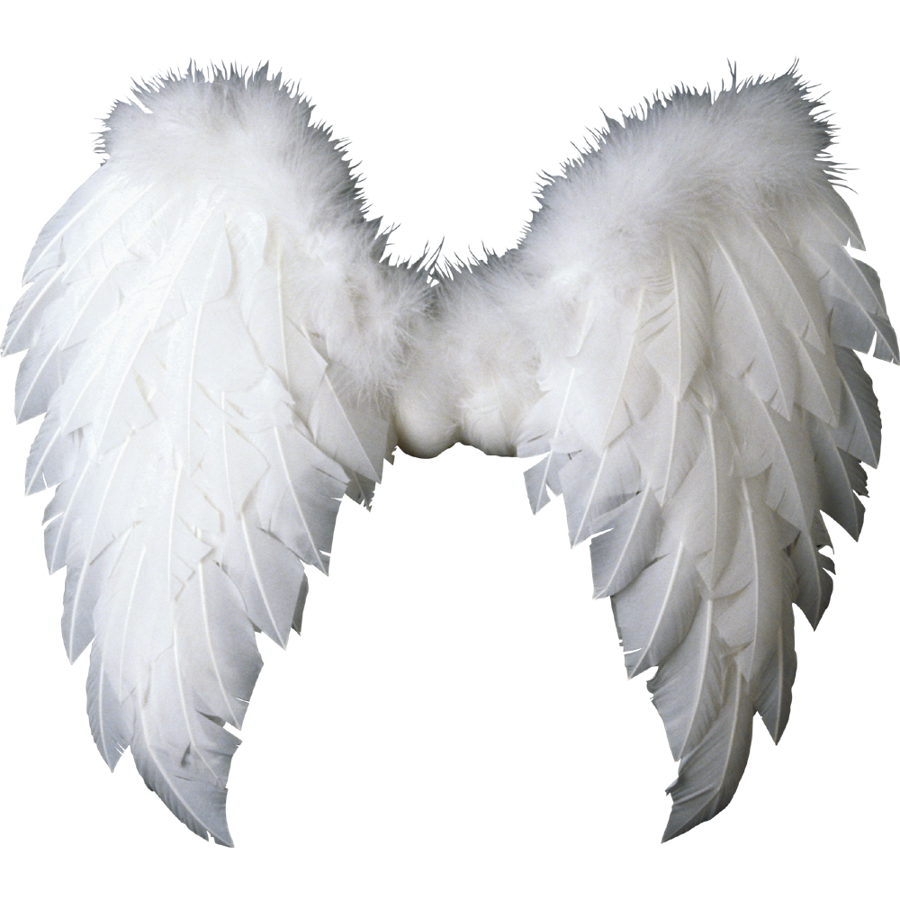 Angel Wing Transparent Clipart