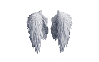 Angel Wing PNG