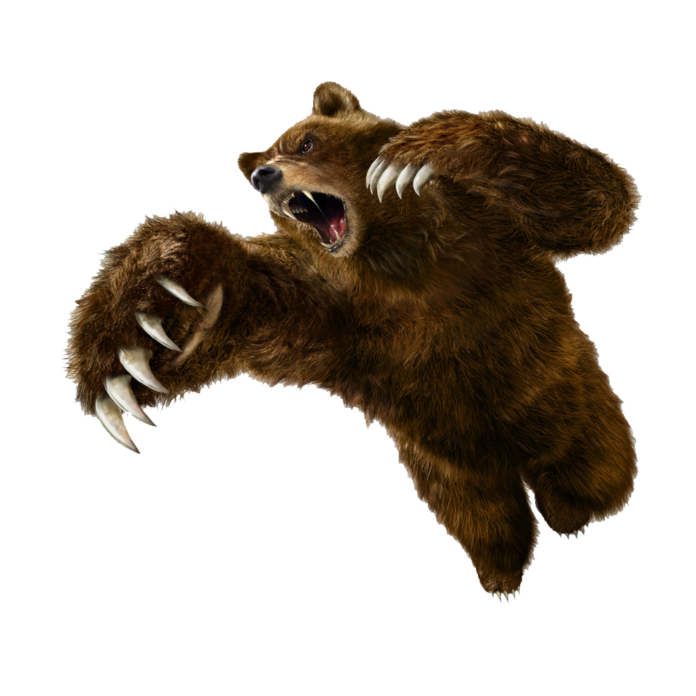 Angry Bear  Transparent Image