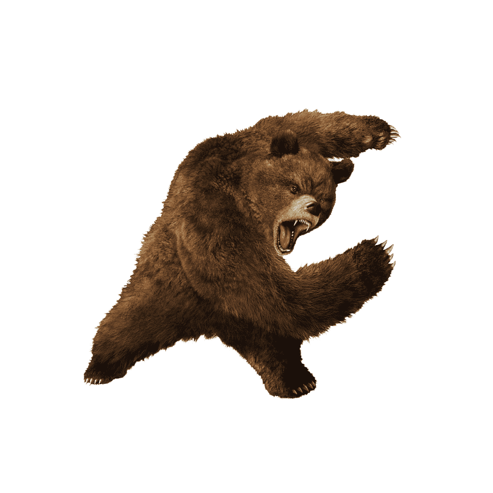 Angry Bear  Transparent Gallery