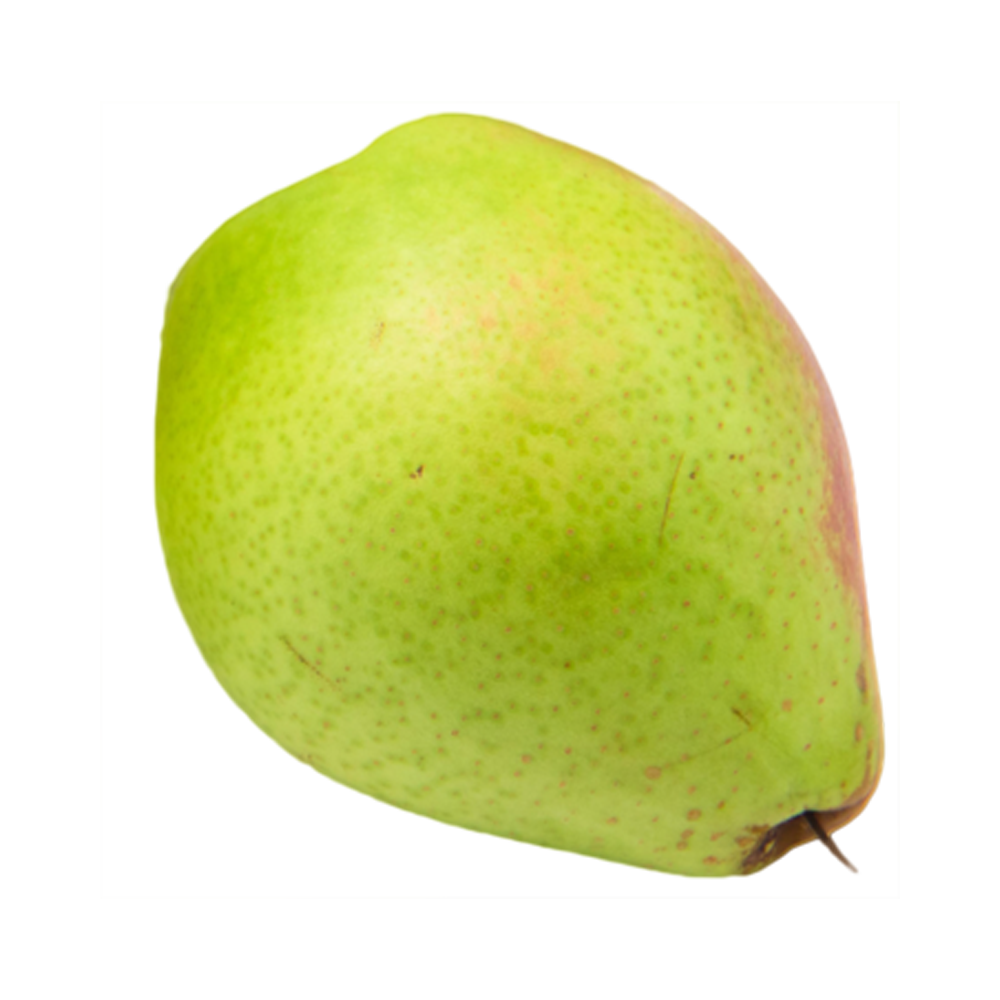 Anjou Pear  Transparent Clipart