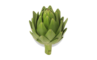 Artichoke PNG