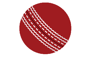 Ball Sticker PNG