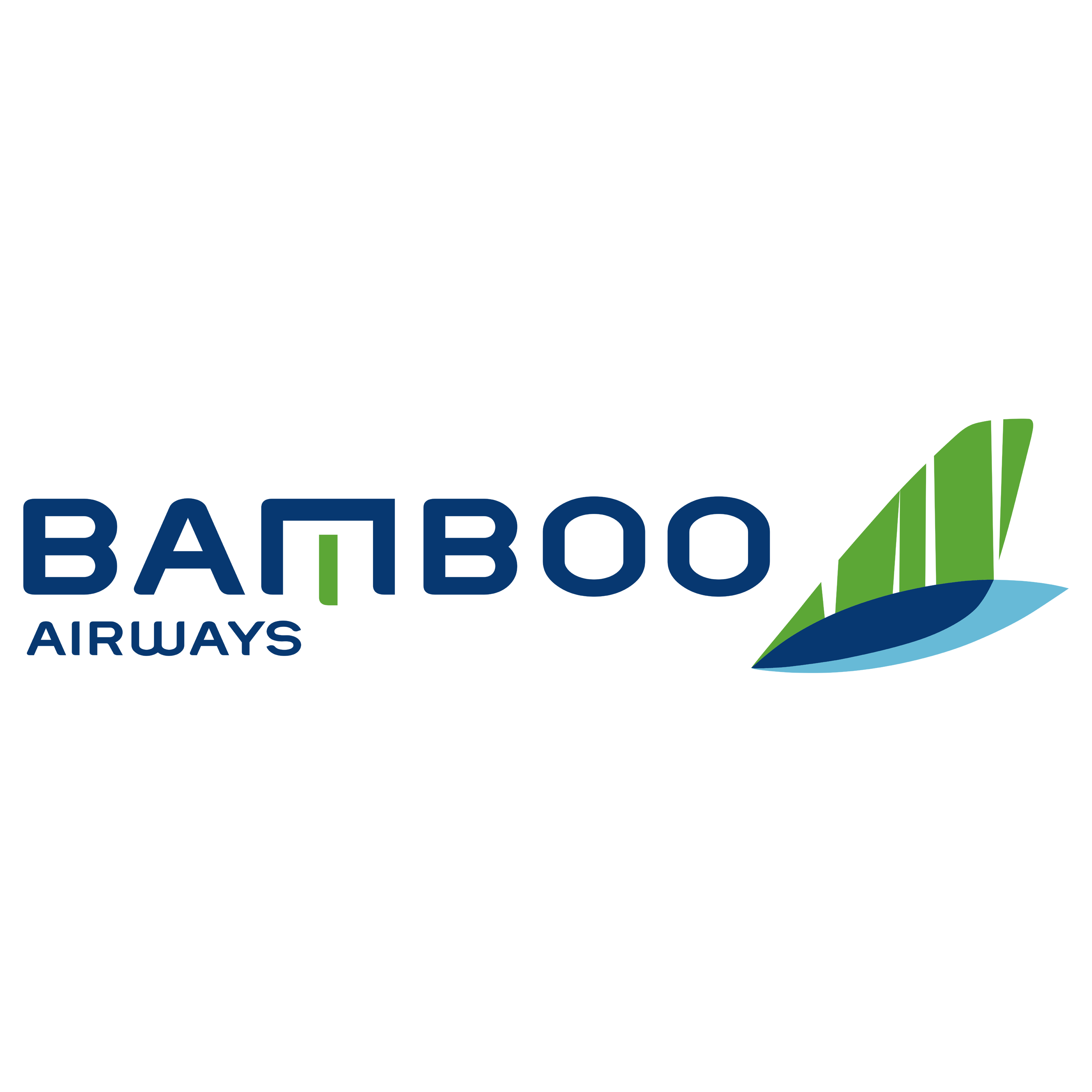 Bamboo Airways Logo Transparent Image