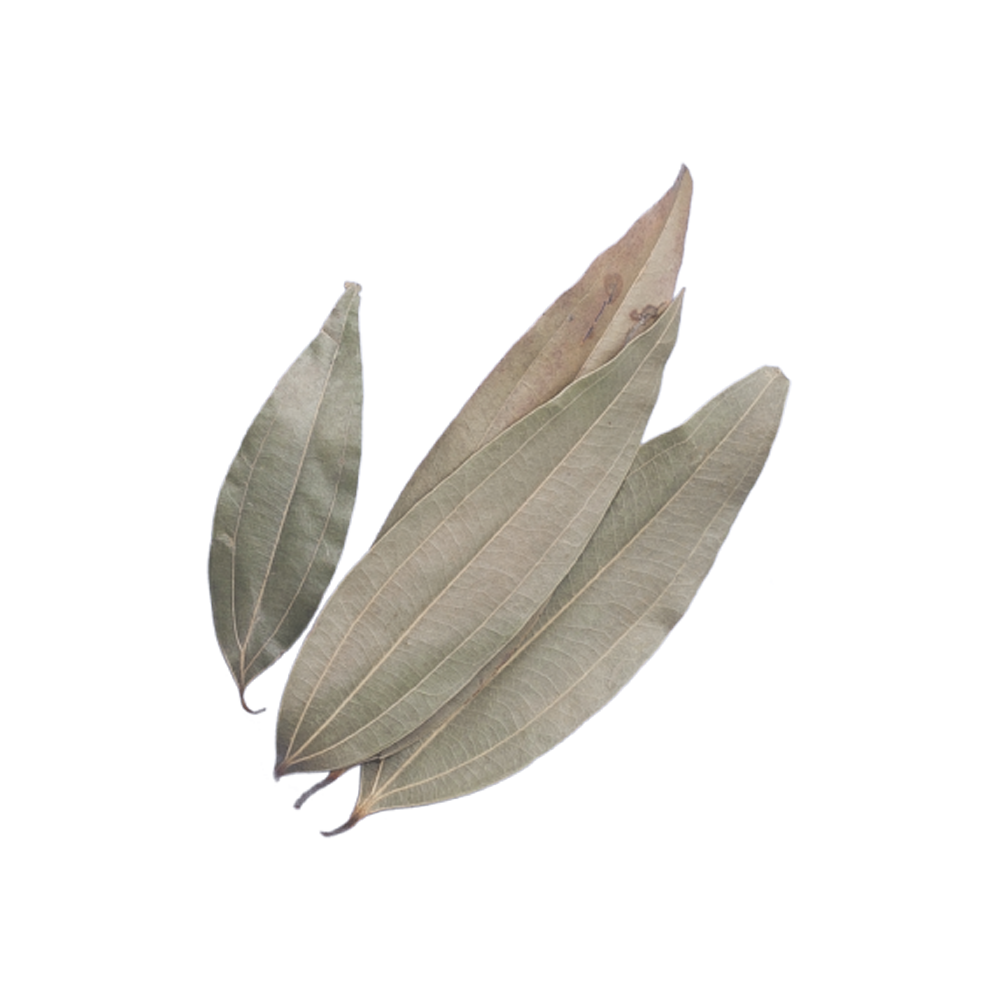 Bay Leaves Transparent Picture