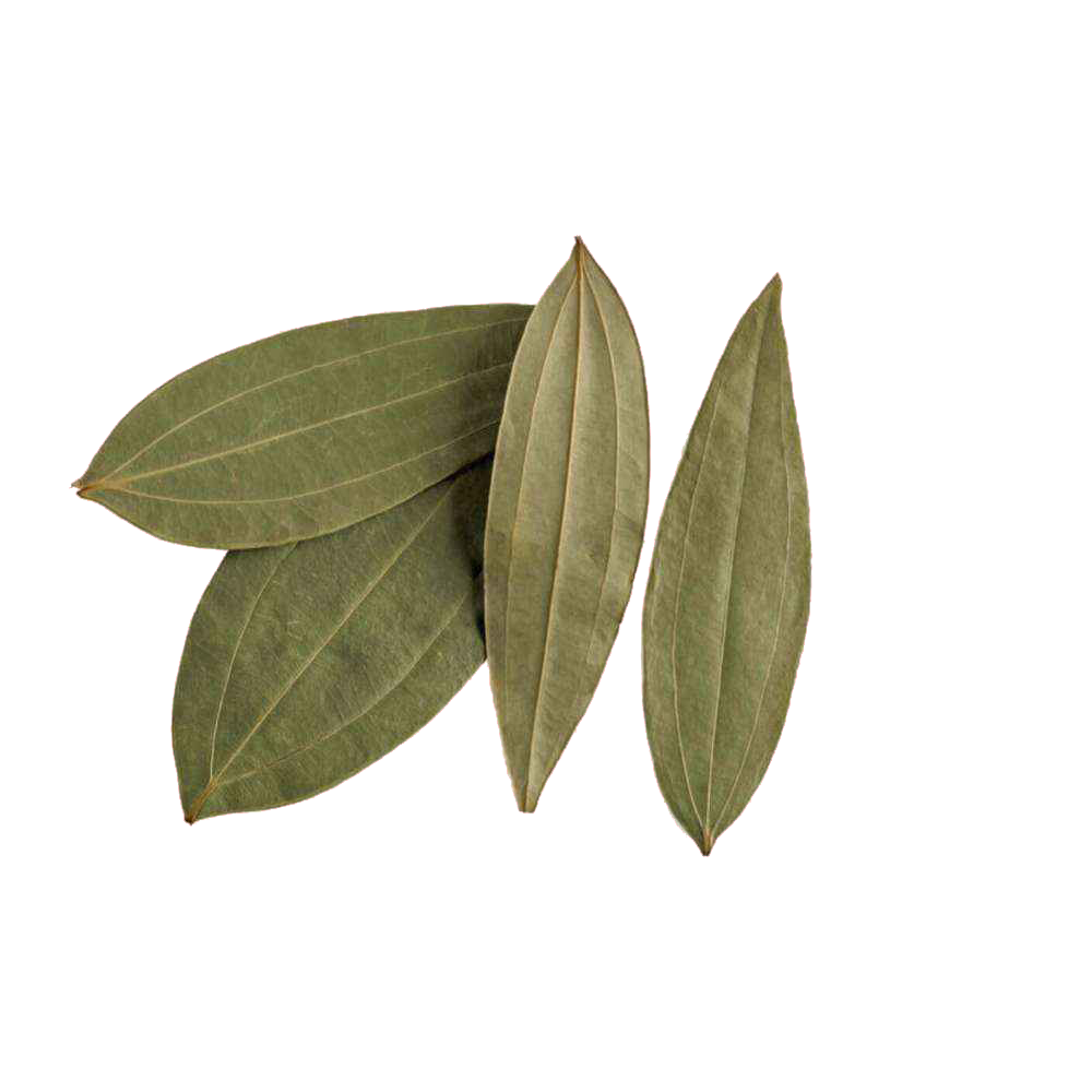 Bay Leaves  Transparent Gallery