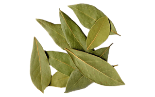 Bay Leaves PNG