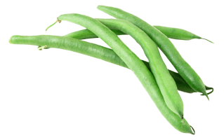 Bean PNG