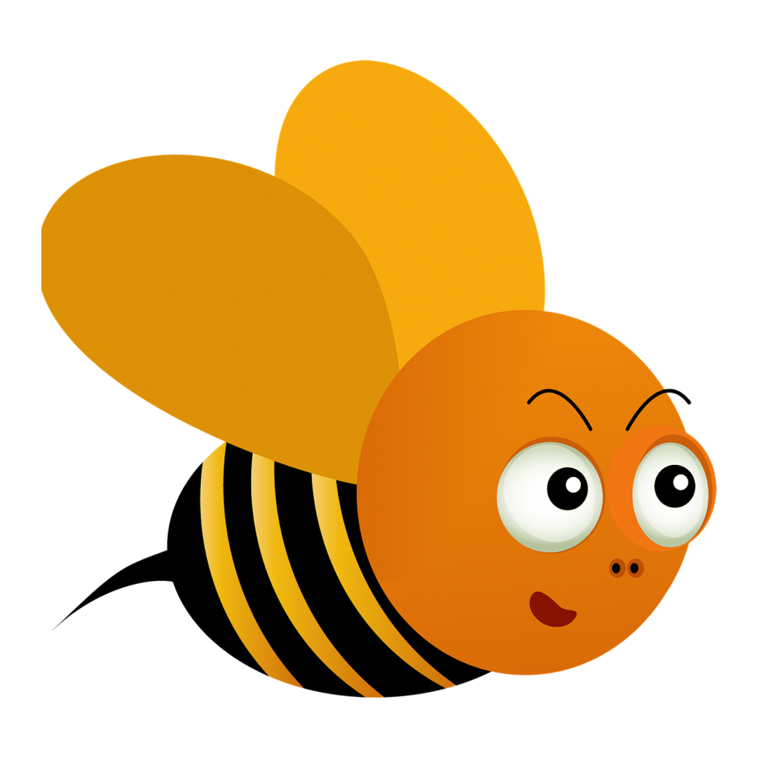 Bee Transparent Photo