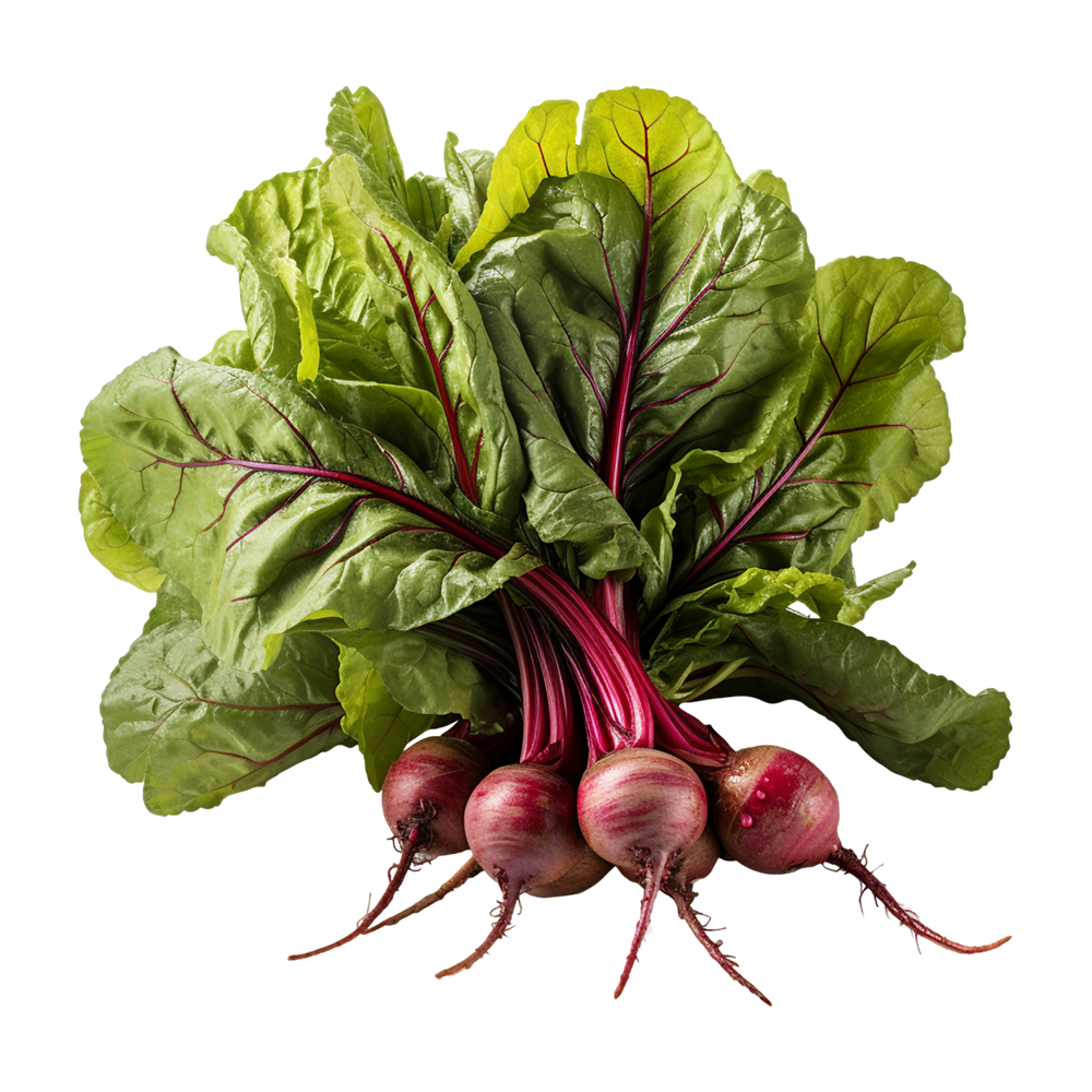 Beet Greens Transparent Picture