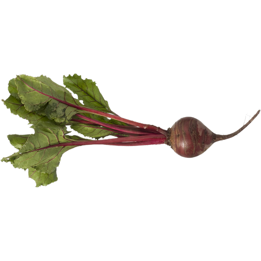 Beetroot  Transparent Picture