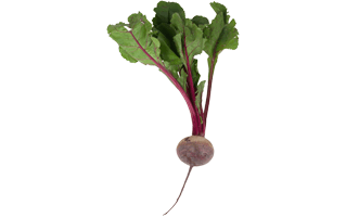 Beetroot PNG