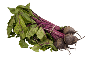 Beets PNG