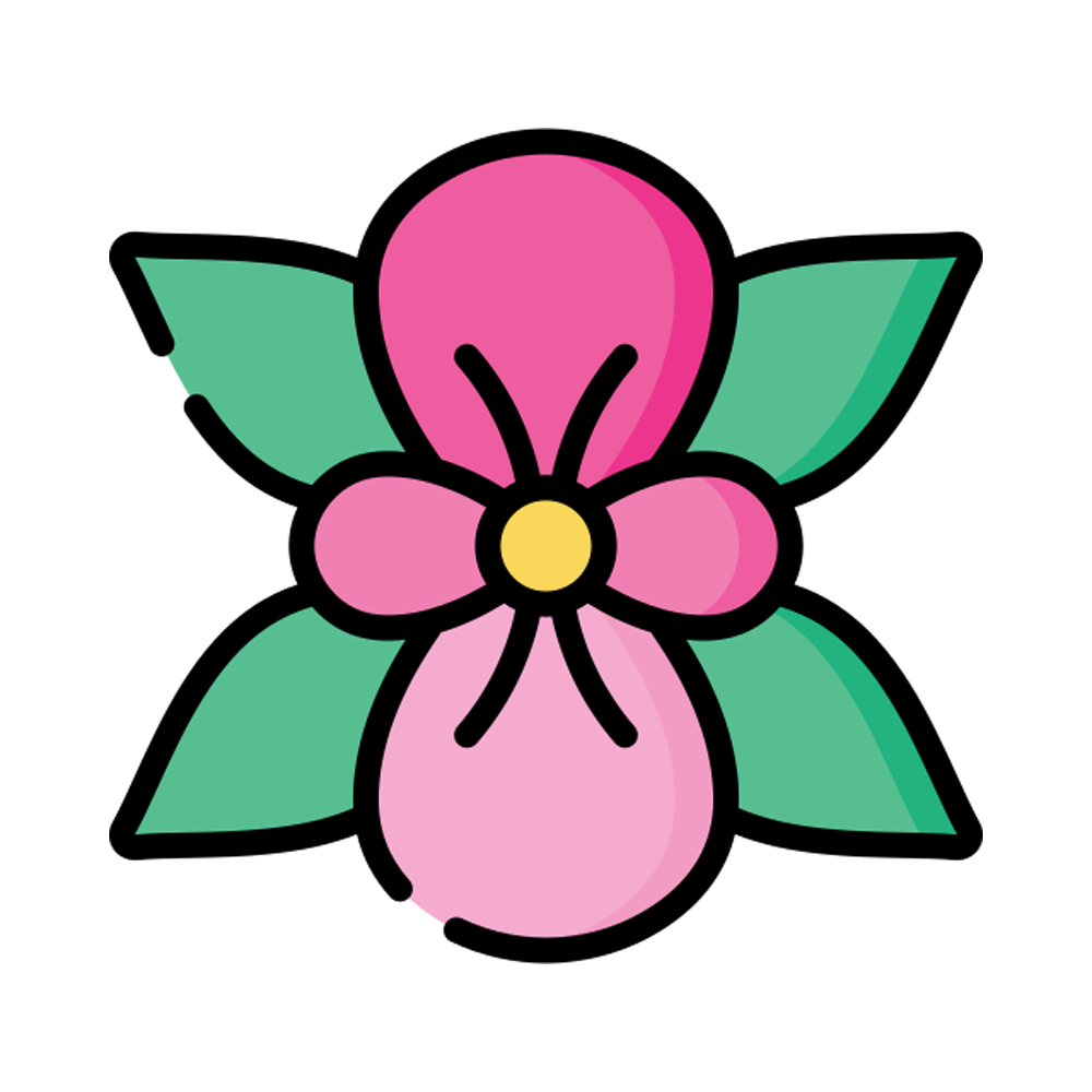 Begonia Free Sticker Transparent Photo