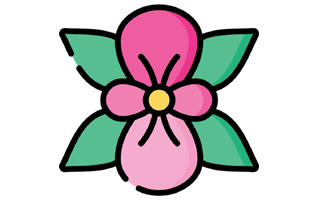 Begonia Sticker PNG