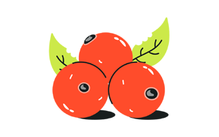 Berries Sticker PNG