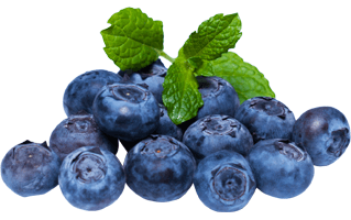 Bilberry PNG