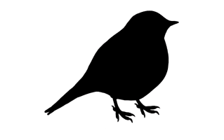 Bird Silhouette PNG