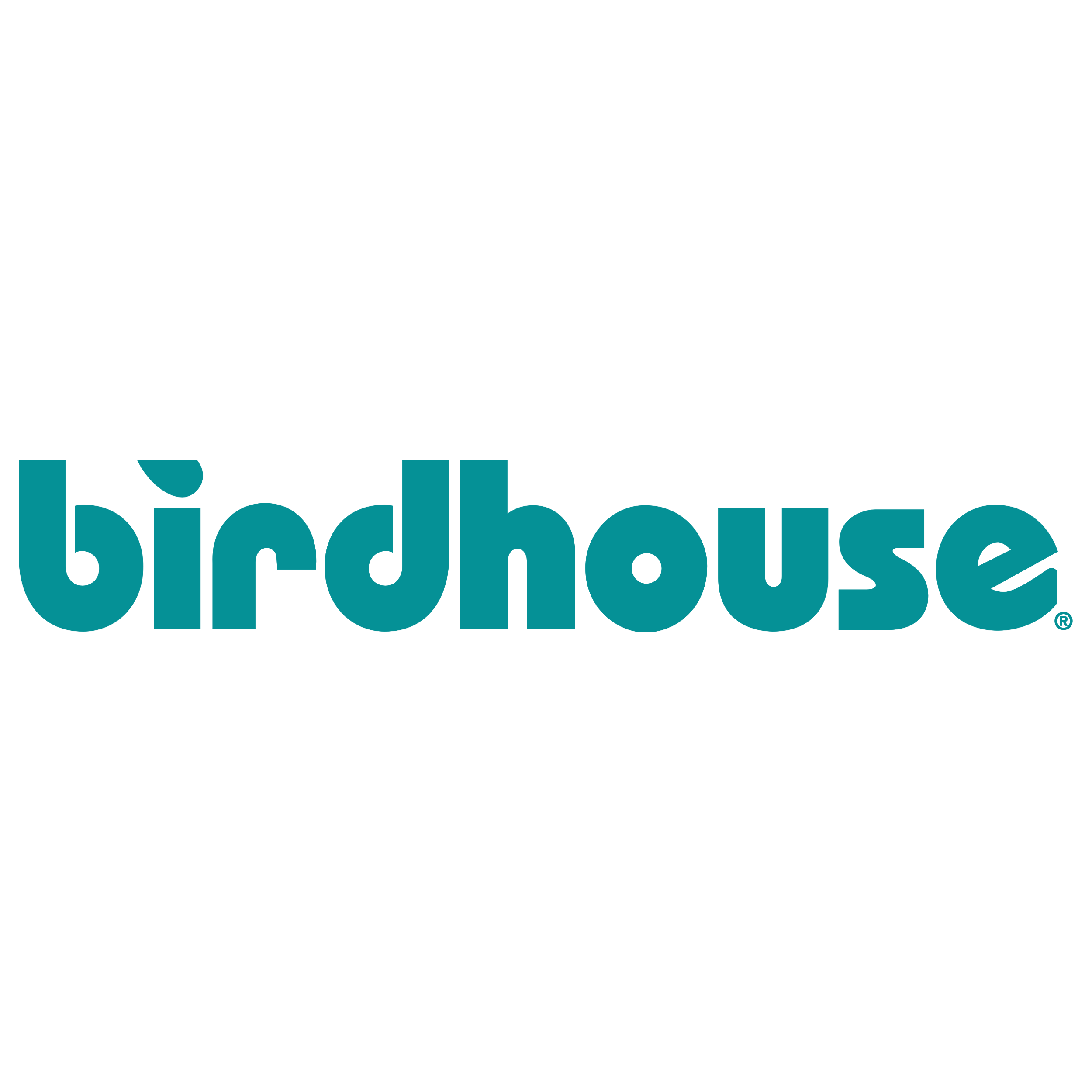 Birdhouse Skateboards Logo  Transparent Clipart