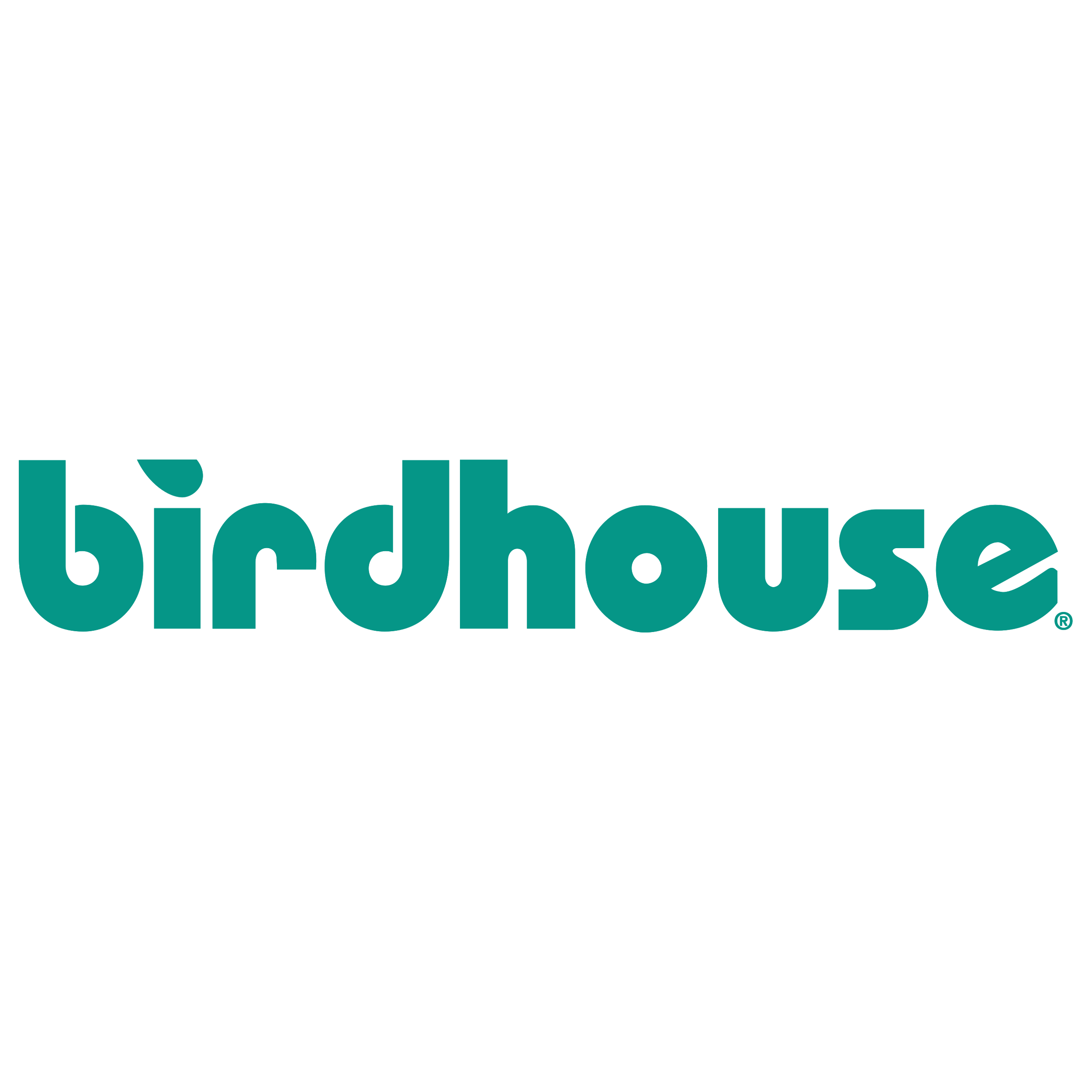 Birdhouse Skateboards Logo  Transparent Gallery