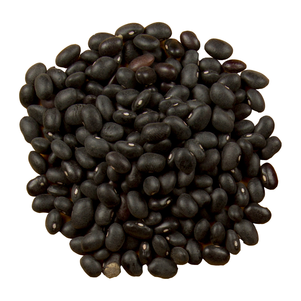Black Beans  Transparent Image