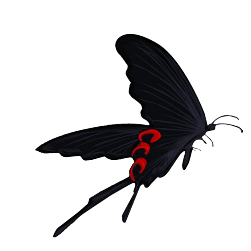 Black Butterfly Transparent Picture