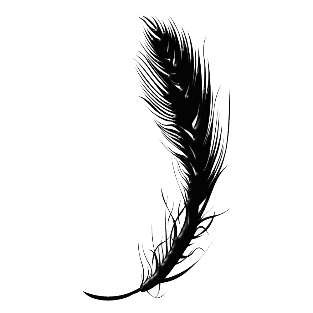 Black Feather Transparent Image