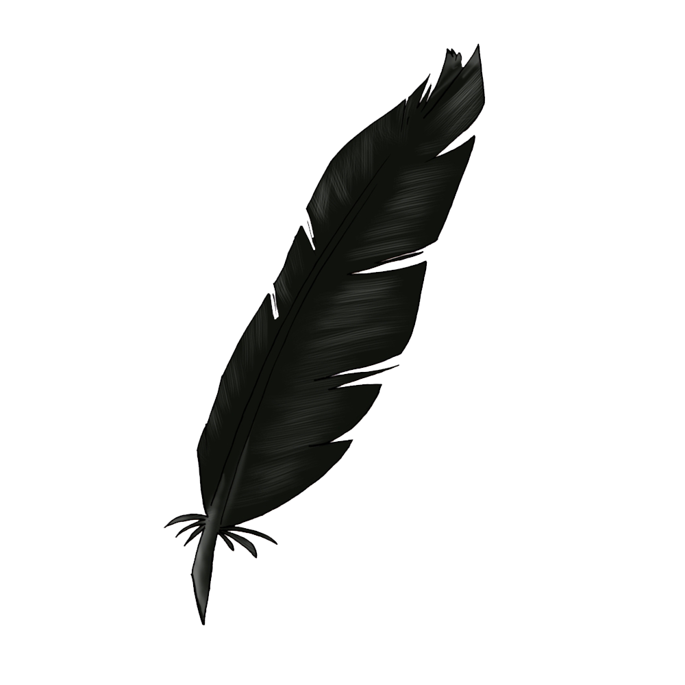 Black Feather Transparent Picture