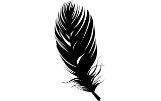 Black Feather PNG