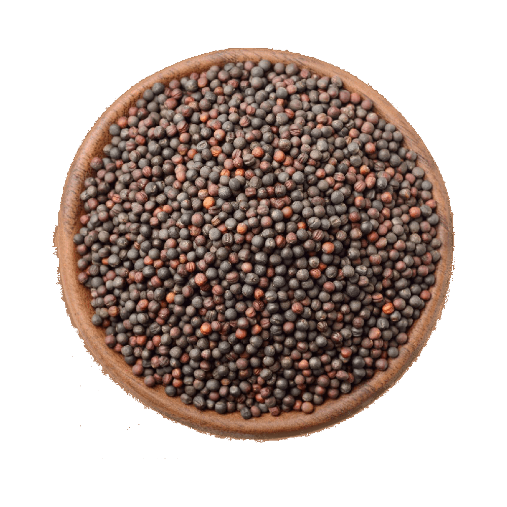 Black Mustard Seed  Transparent Photo