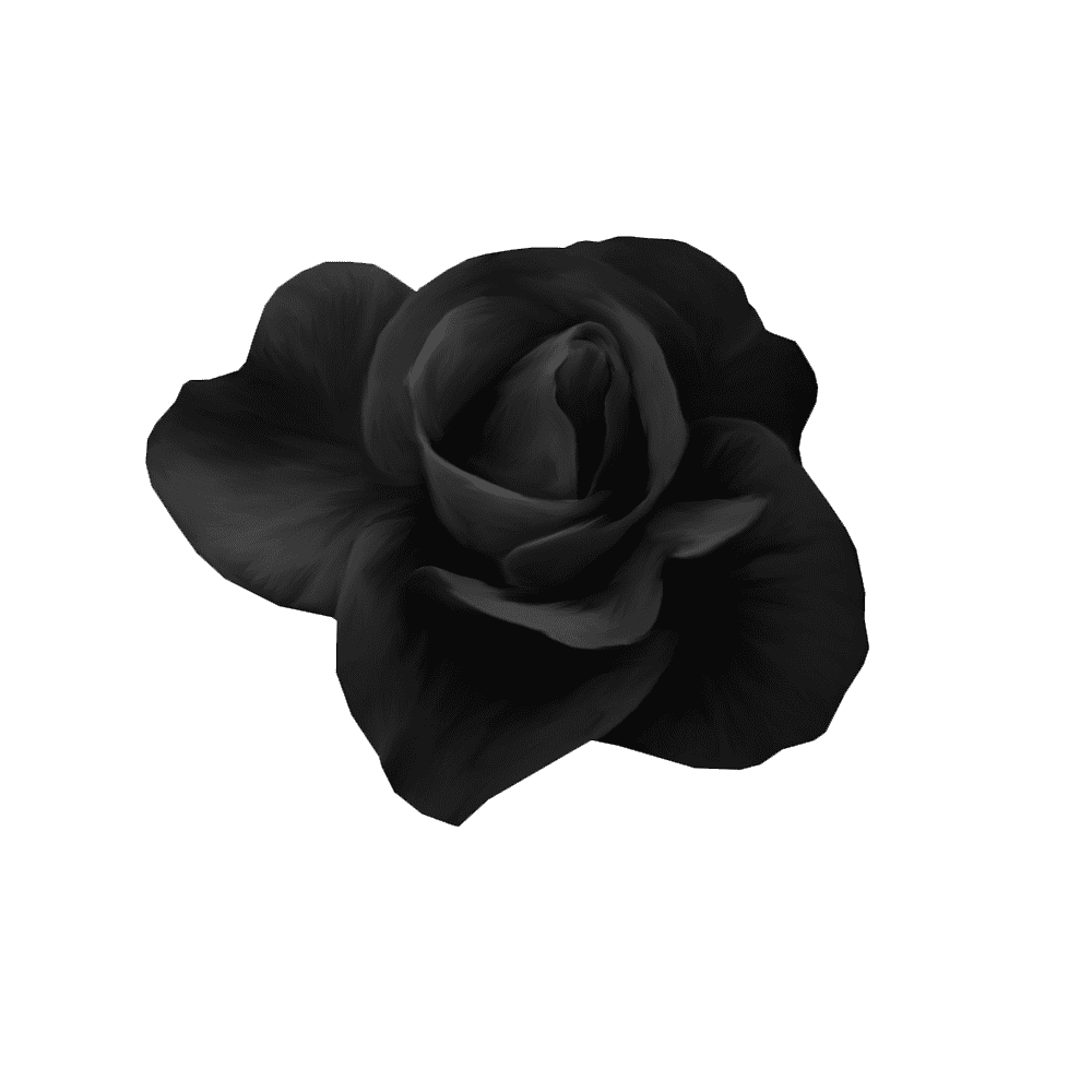 Black Rose Transparent Clipart