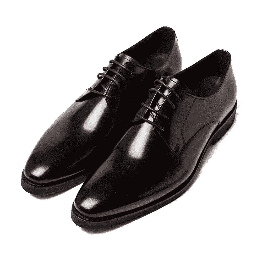 Black Shoe  Transparent Image