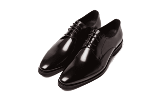 Black Shoe PNG